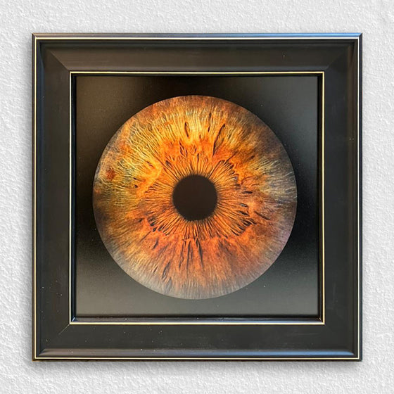 Simurg Çerçeve yapılan işler örneği