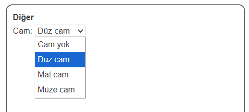 7. Cam (Glazing) Seçenekleri